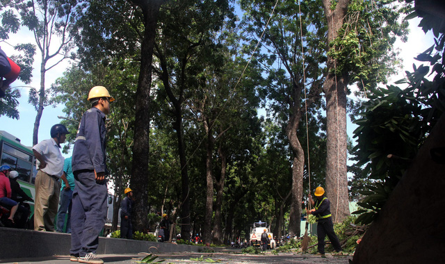 ​Ho Chi Minh City to auction landscaping contracts