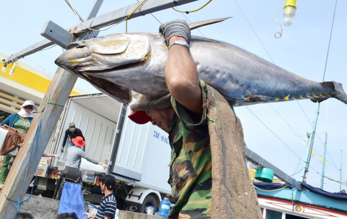 ​Vietnam’s seafood industry reacts to ‘yellow card’ from EU