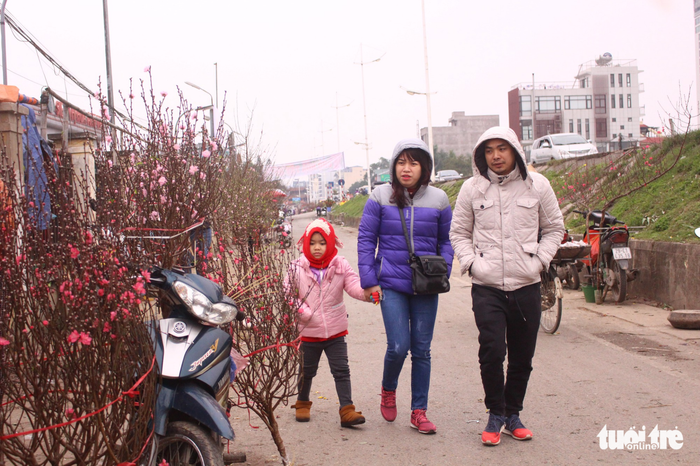 A family takes a stroll in the Quang Ba flower market, enjoying the colorful blossoms. Photo: Tuoi Tre