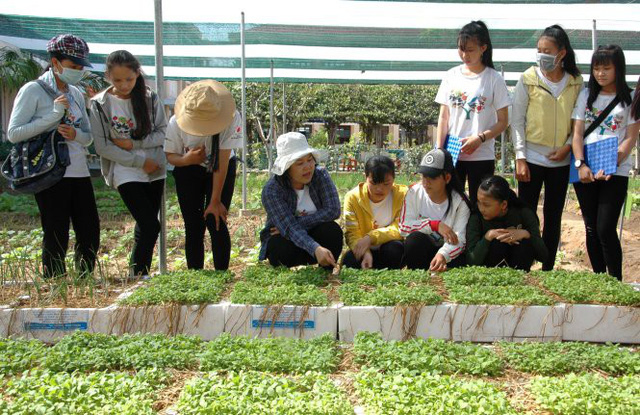 Vietnamese schools teach students to grow organic vegetables