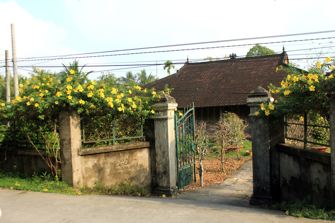 Mr. Tong’s house hiding behind a fence covered with golden trumpet flowers. Photo: Tuoi Tre