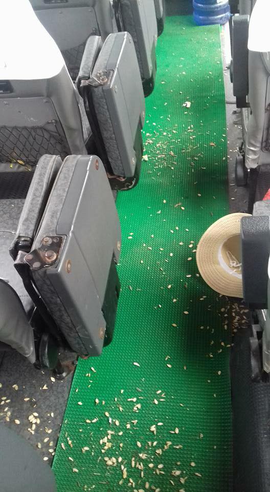 The floor of a passenger bus full of pumpkin seed hulls is seen in this photo posted on the Facebook of Tuan Anh.