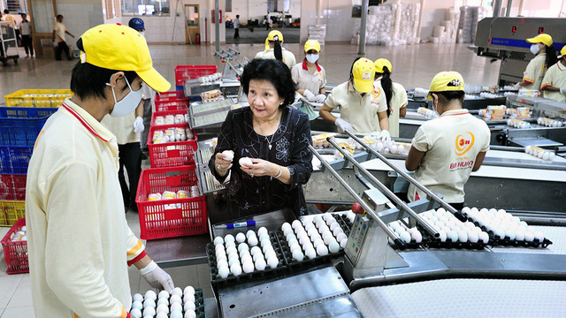 ​VinaCapital fund channels $32.5mn into Vietnam’s largest egg producer