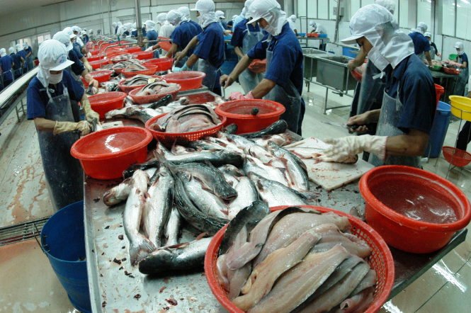 Vietnam goes to WTO to challenge U.S. restrictions on pangasius fish