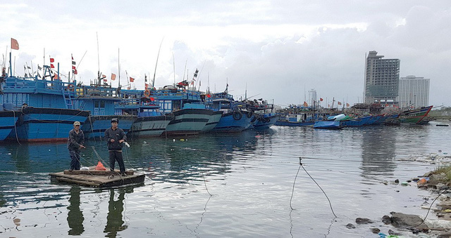 Planned fishery center in Da Nang could be scrapped amidst environmental concerns