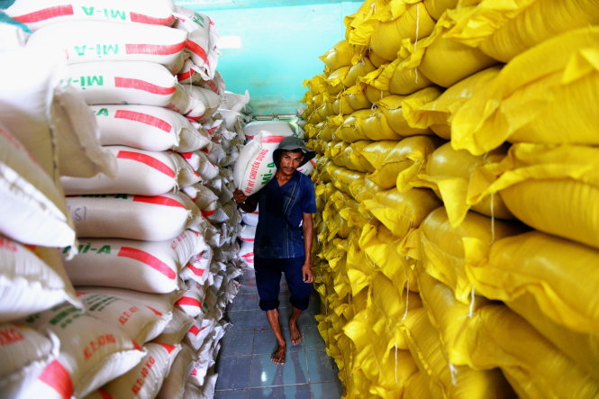 Vietnam's 2018 rice exports may rise to 6.5 mln T: report