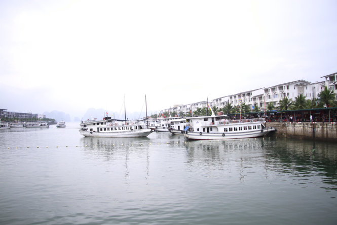 ​Tourist boats must meet standards on wastewater treatment in Vietnam’s Ha Long Bay: experts