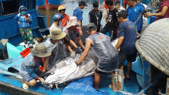 ​​​Vietnam likely to see EU ‘yellow card’ on seafood lifted in May: minister