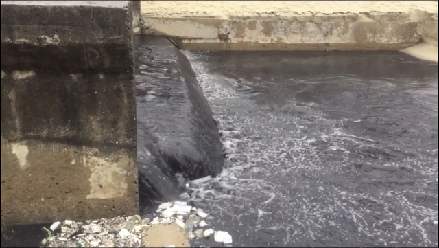 ​Da Nang’s famous beach spoiled by repulsive inky wastewater discharge