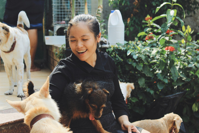 ​With great love, Vietnamese woman cares for over 100 stray cats, dogs