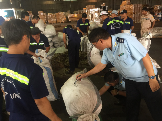 ​Tons of pangolin scales from Congo seized by Vietnamese customs