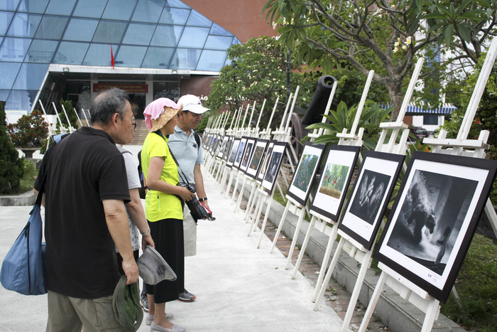 ​Da Nang exhibition features 1,000 works by int’l artists
