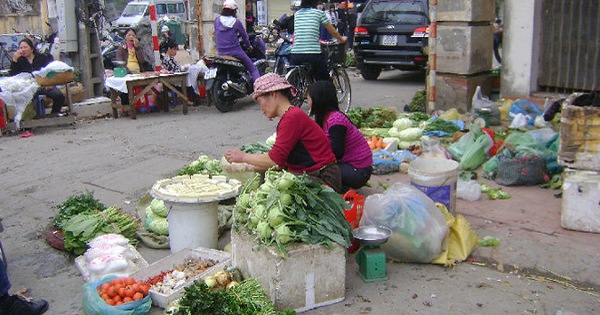 ​Common sense rules at ‘toad market’ in Vietnam