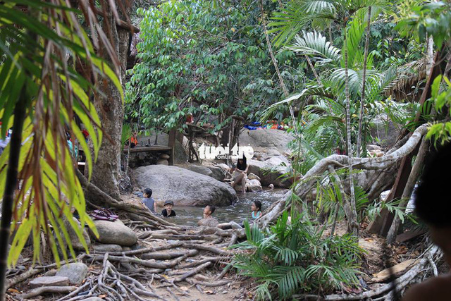 ​Management of Vietnamese natural reserve mulls renting forest land to tourism companies