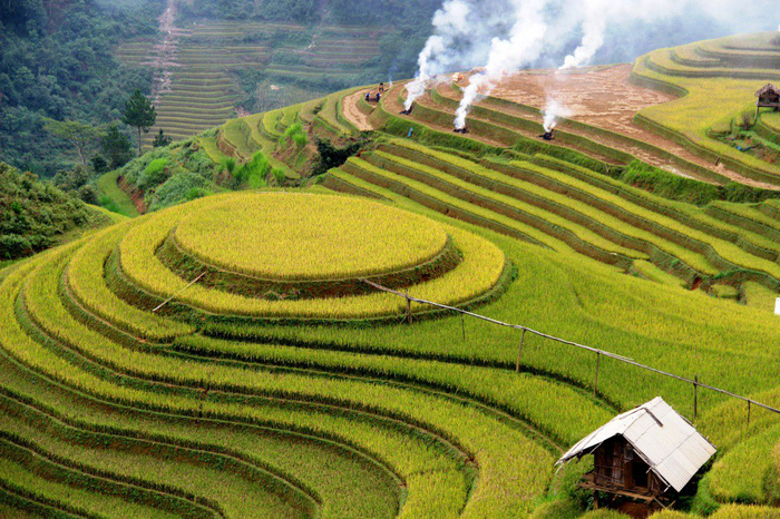 Controversy sparks over installation art exhibition on terraced rice field in northwestern Vietnam