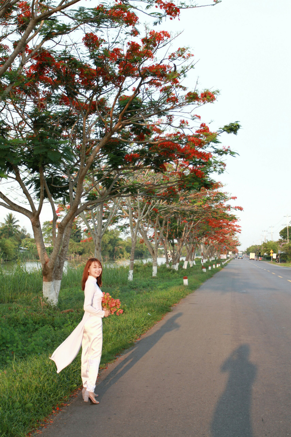 A young student in ao dai poses under red flamboyant flowers in Dong Thap Province, southern Vietnam. Photo: Tuoi Tre