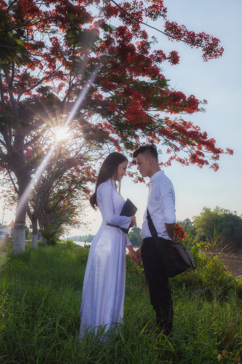 A young couple wearing school uniform pose under red flamboyant flowers in Dong Thap Province, southern Vietnam. Photo: Tuoi Tre