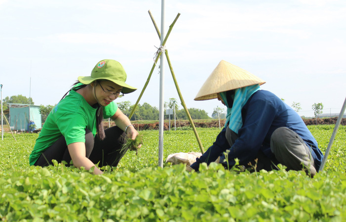 ​Young startup founders dream of clean Vietnamese veggie powders