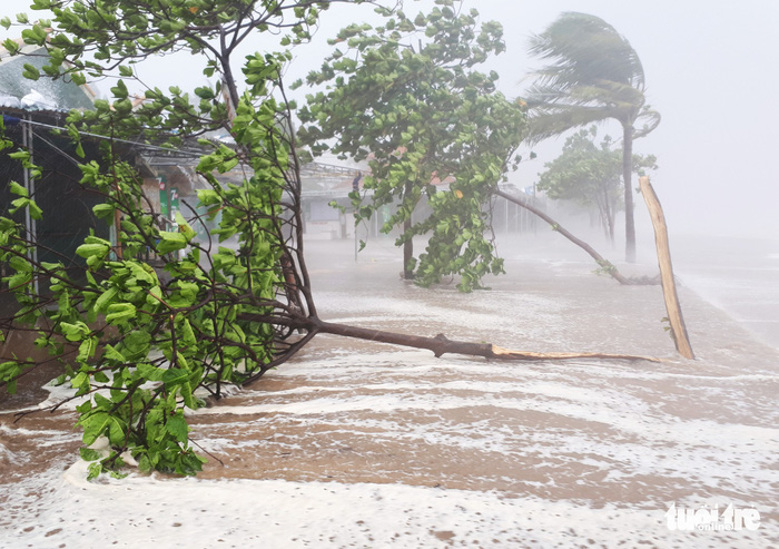 ​Up to 13 typhoons to hit East Vietnam Sea this year
