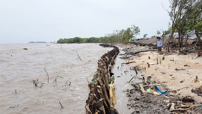 ​Riverbank, coastal erosion devouring Vietnam’s Mekong Delta region
