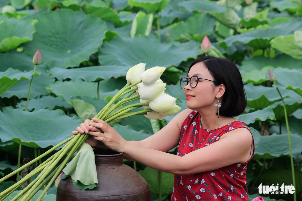 A girl poses with lotus flowers in Hanoi. Photo: Tuoi Tre