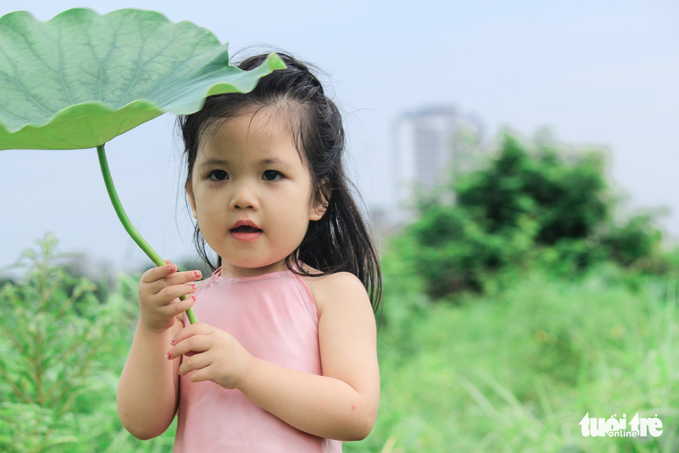 A little girl poses with lotus flowers in Hanoi. Photo: Tuoi Tre
