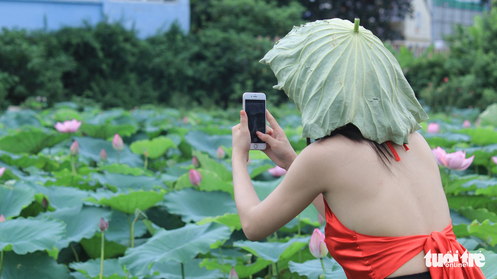 A girl in ao yem, a traditional Vietnamese bodice, takes photo for her friends at the lotus ponds in Hanoi. Photo: Tuoi Tre