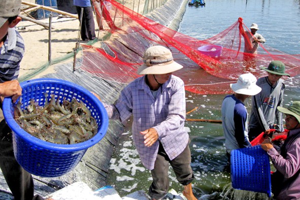 ​EU extends ‘yellow card’ warning on Vietnam’s seafood by six months