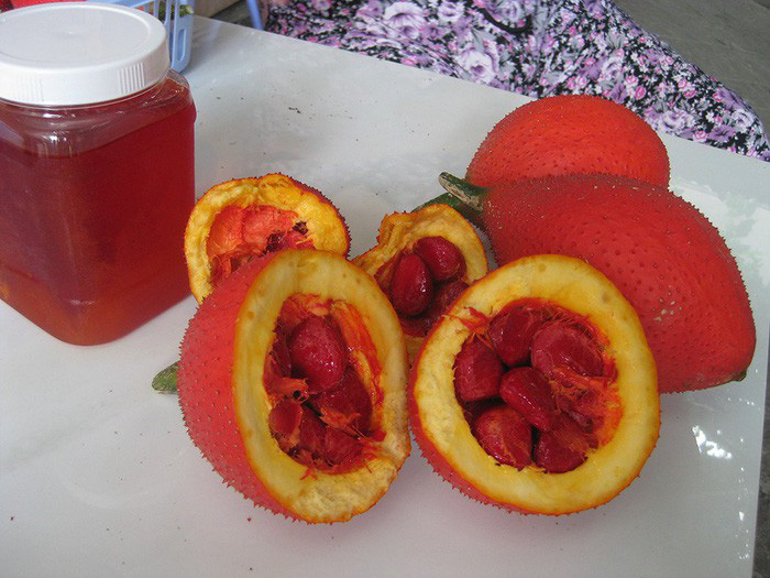 ​Vietnam scientist discovers anti-cancer property in baby jackfruit