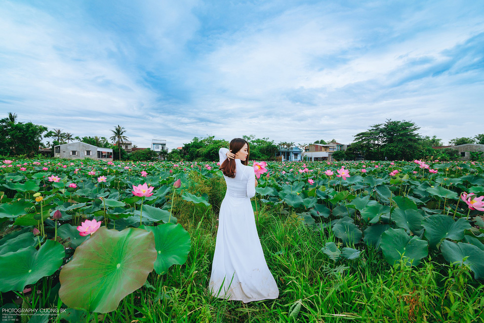 Young people dash to lotus ponds for ‘million-like photos’ in Hue