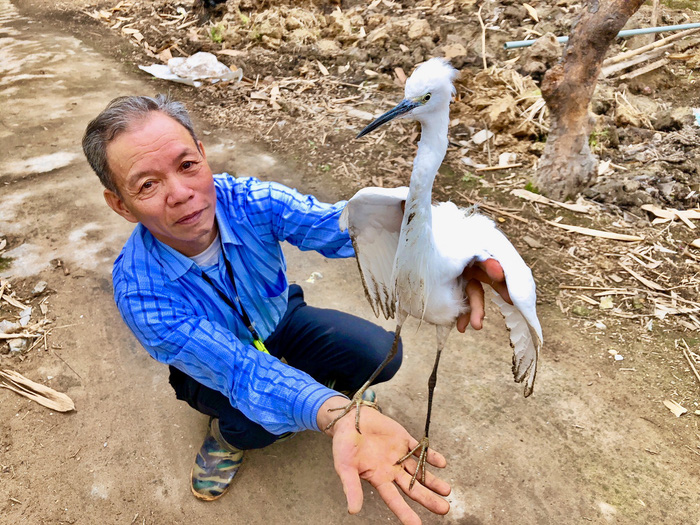 ​Vietnam farmers struggle to protect wild storks