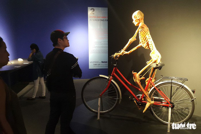 ​Ho Chi Minh City temporarily closes controversial expo of ‘plastinated corpses’