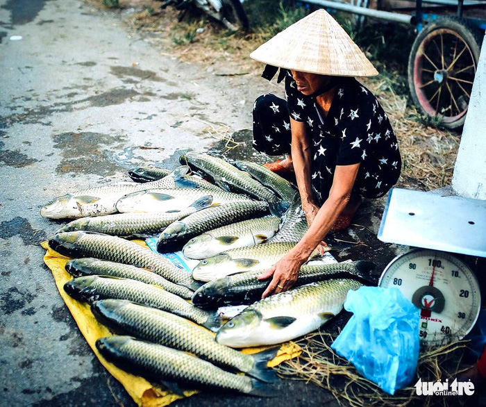 ​Central Vietnamese villagers reel from mass deaths of farmed fish 