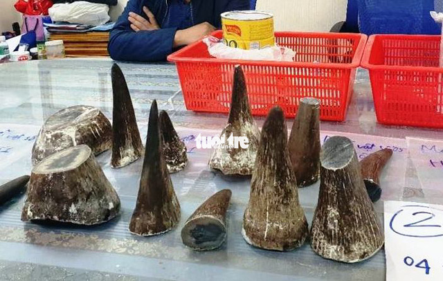 ​Vietnamese man caught hiding over 7kg of rhino horns inside milk cans