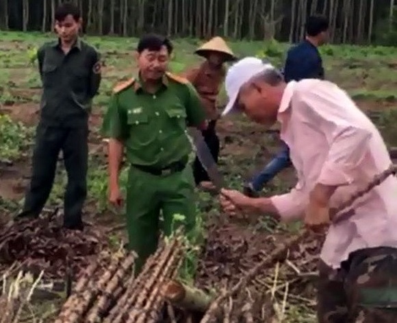 Over 100 residents illegally claim company’s land to plant cassava in southern Vietnam
