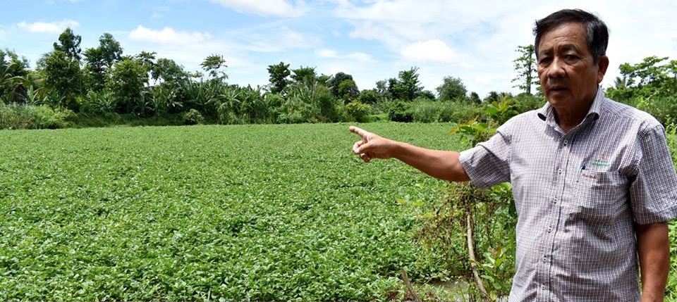 ​Former firm director absconds abroad, leaving Vietnamese farmers heavily indebted