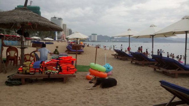​Parasols, chairs ruin Nha Trang beachscape