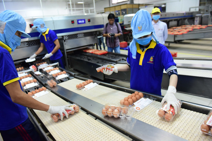 Vietnamese enterprises underprepared for M&A gamble