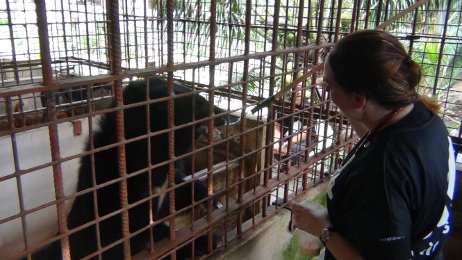 ​Vietnamese farmer gives five caged bears to animal welfare charity