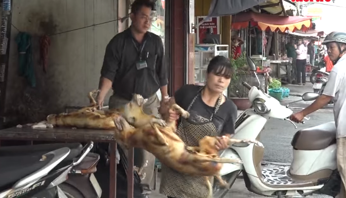 Sudden raid sends sellers rushing away with dog meat in Ho Chi Minh City