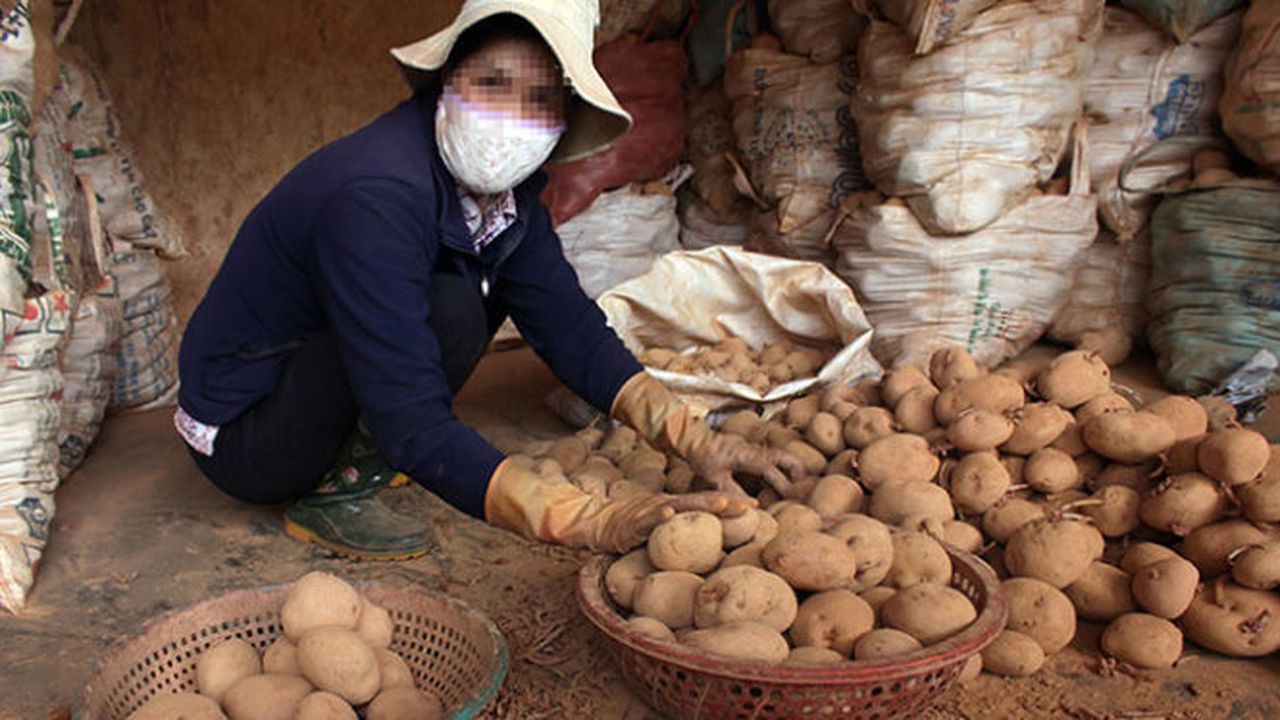 ​Non-local farm produce barred from Da Lat agriculture market