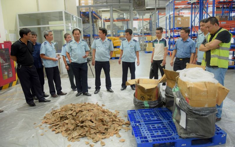 ​Vietnam seizes nearly a ton of pangolin scales, ivory