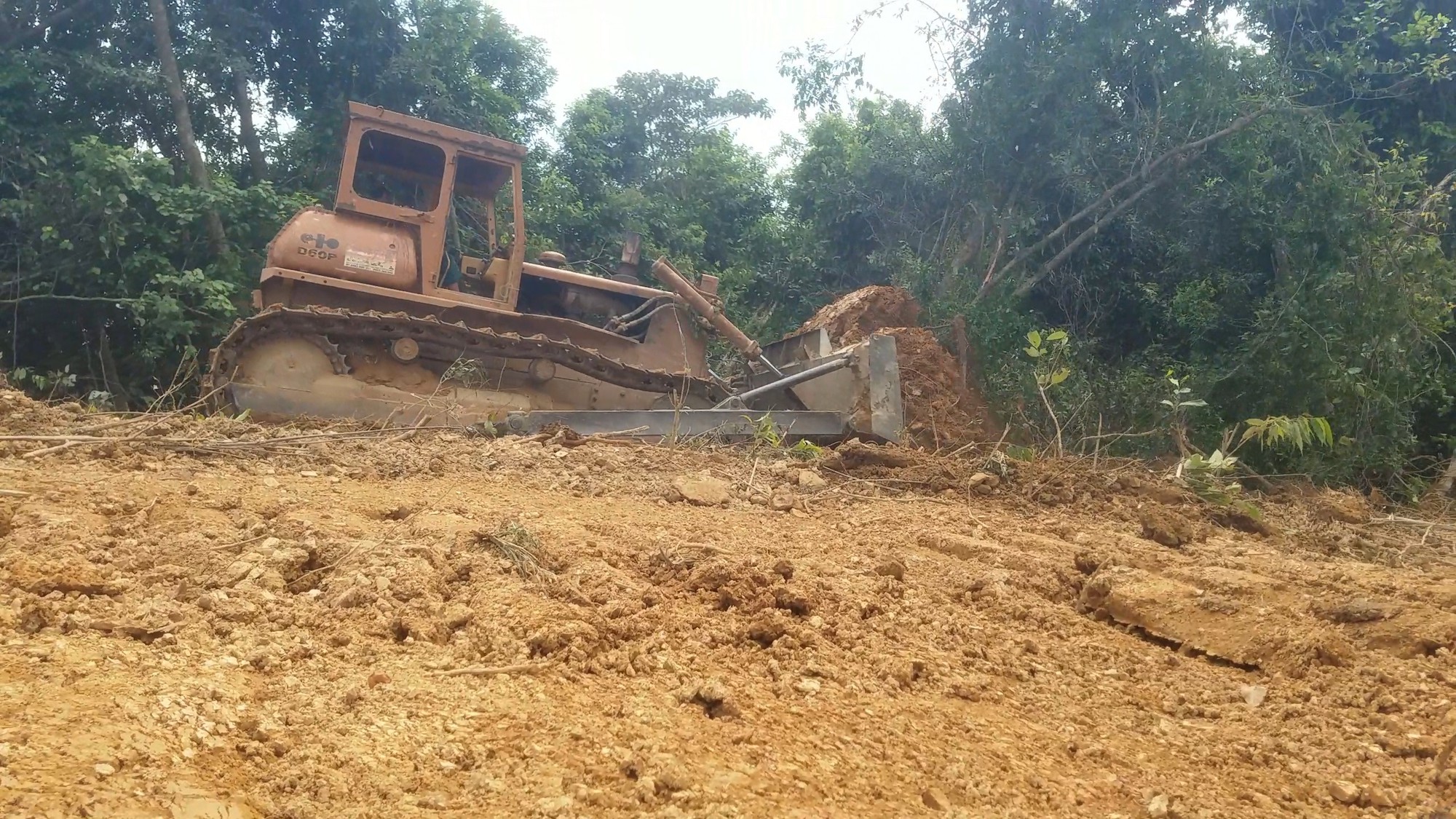 An excavator is used to fell trees within the natural forest. Photo: Tuoi Tre