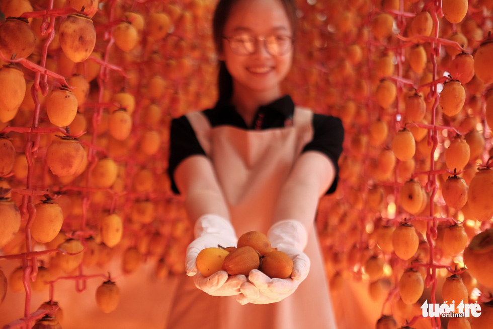 Japanese persimmon-drying technique rescues Da Lat farmers