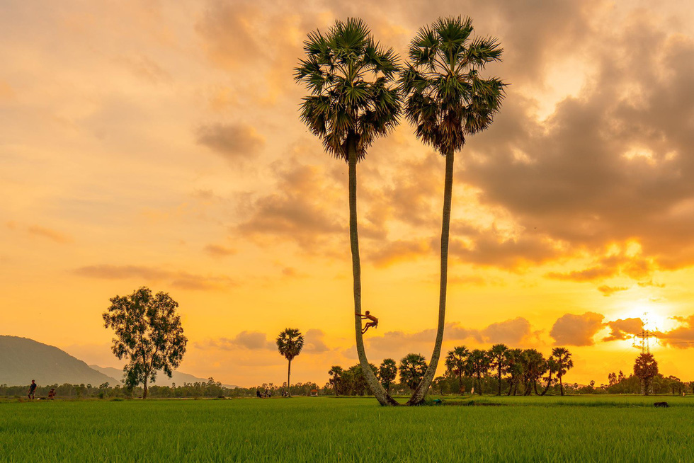 Take in the palm trees of Vietnam’s An Giang Province during flood season