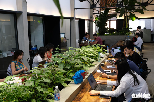 Saigon’s co-working spaces become new fad for city’s young professionals