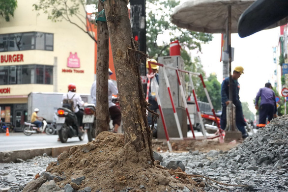 Roadworks take toll on green trees in Ho Chi Minh City