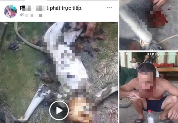 Vietnam police verify Facebook live video of men killing monkey, eating its brain