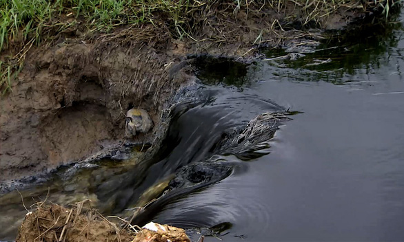 Company dumps black wastewater in south-central Vietnam river