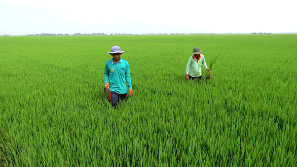 Vietnam’s agriculture must be in world’s top 15: PM
